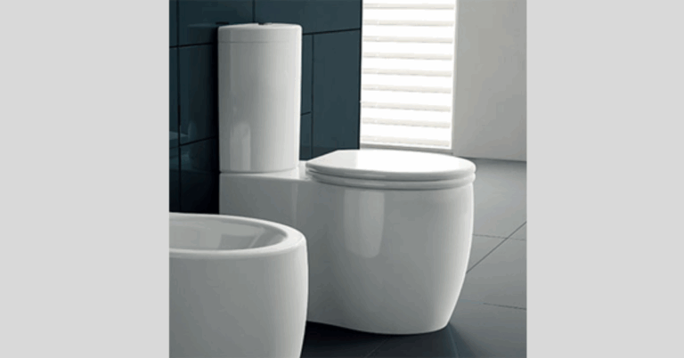 The Ultimate Guide to Choosing the Perfect Toilet Bowl in Singapore
