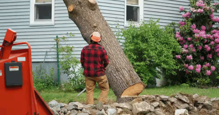 Land Clearing Services: Essential Solutions for Your Property Development