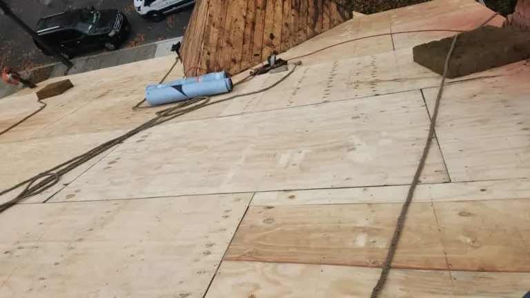 roof cleaning bronx ny